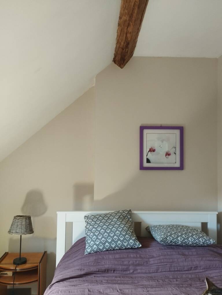 Muides-Sur-Loire (41500)