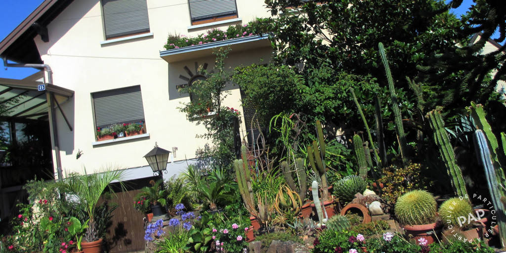 Selestat (67600)