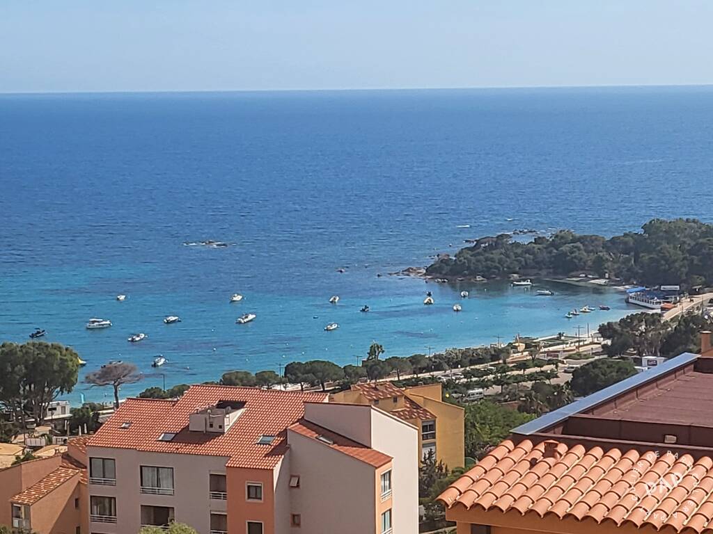 Ajaccio (20000)