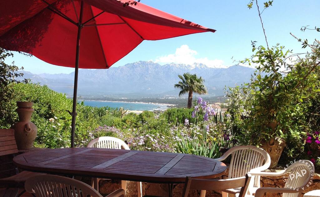 Calvi
