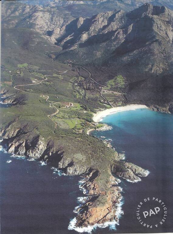 Piana (20115)