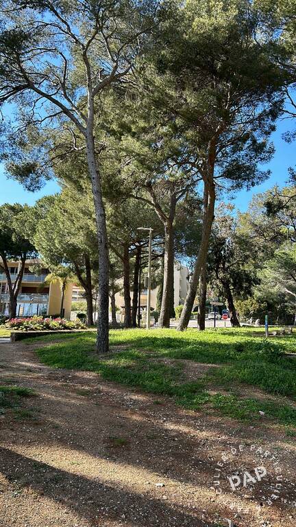 Bormes-les-Mimosas (83230)