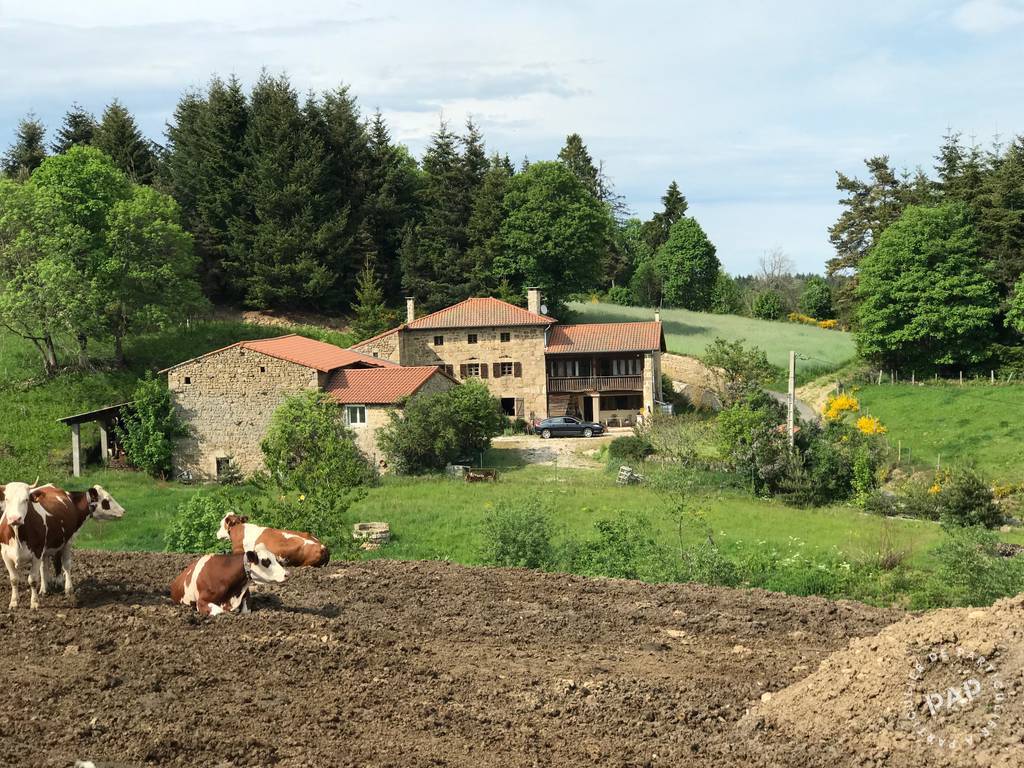 Saint-Hilaire-Cusson-la-Valmitte (42380)