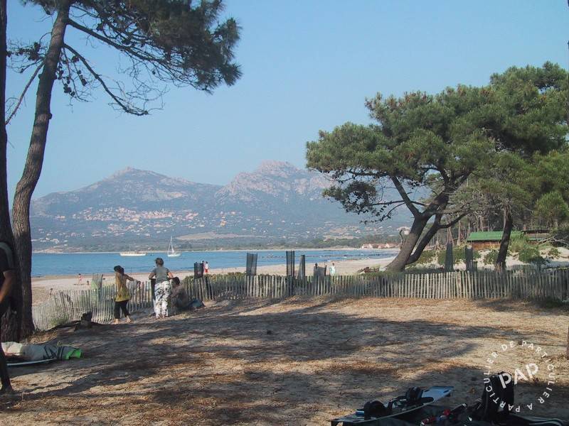 Calvi (20260)