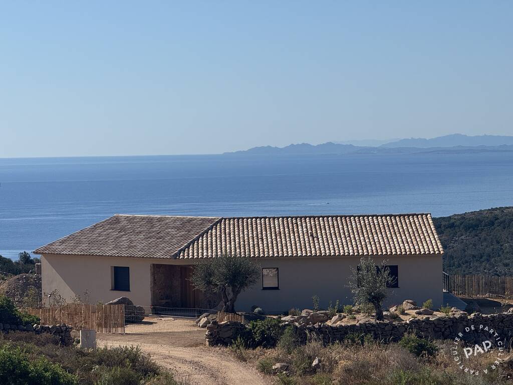 Bonifacio (20169)