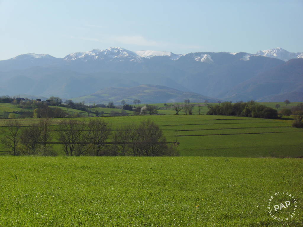 Cieutat