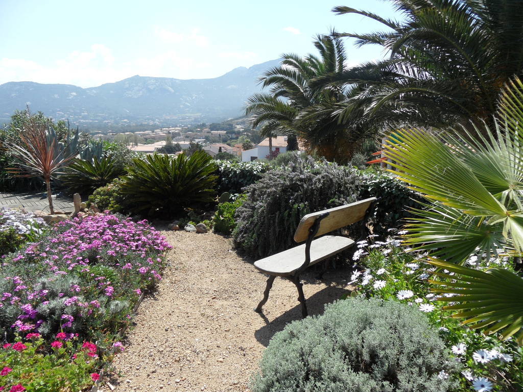 Calvi