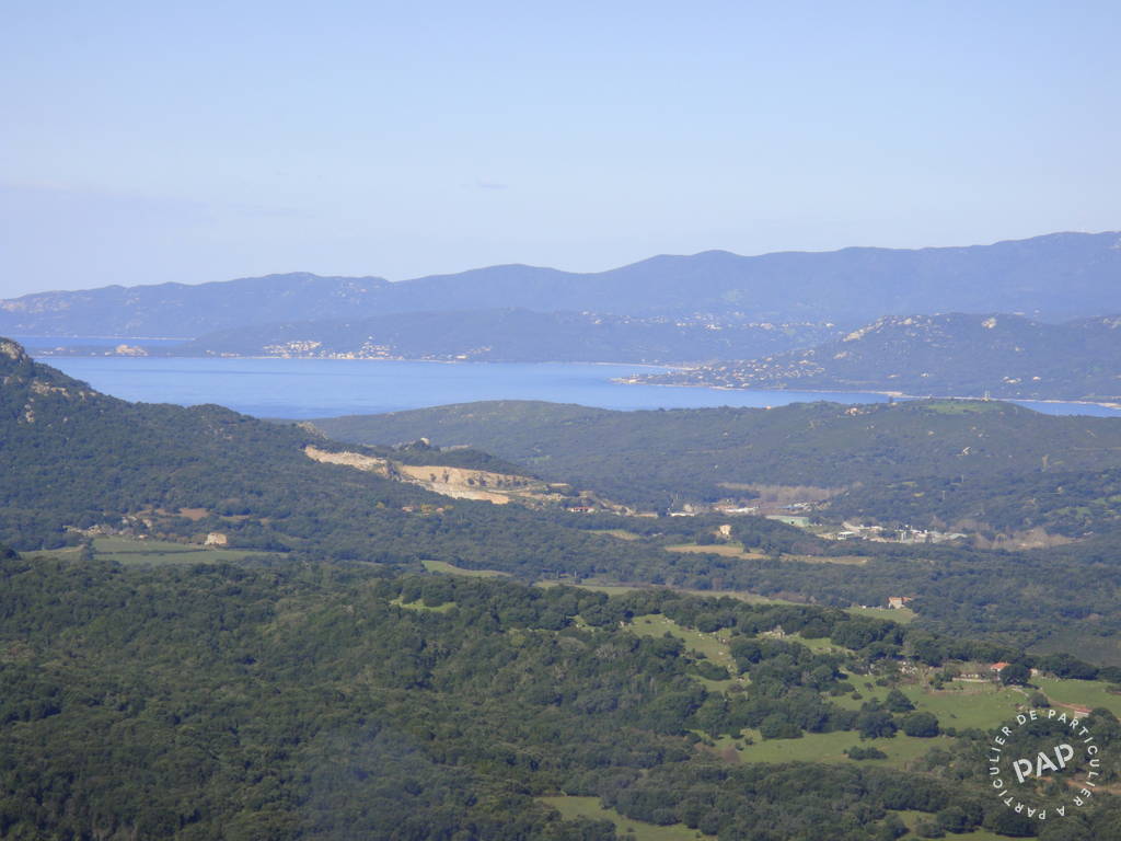 Corse