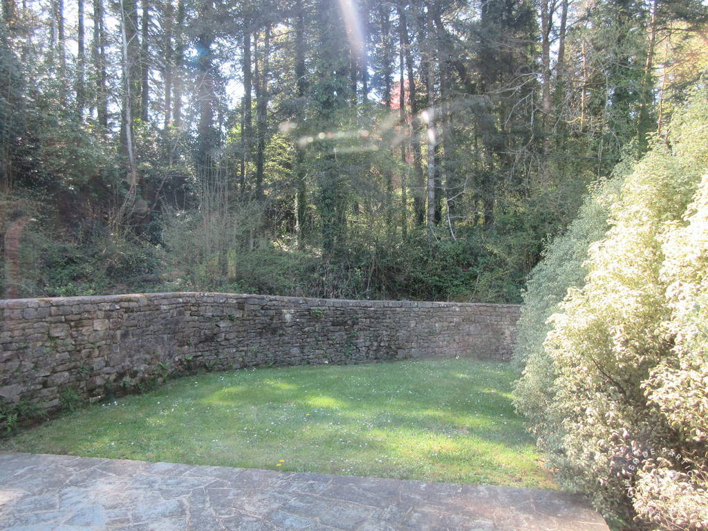  immobilier Maison