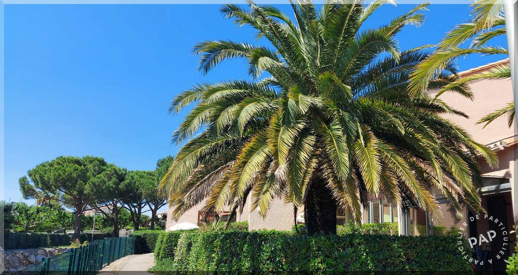 Saint-Cyprien (66750)