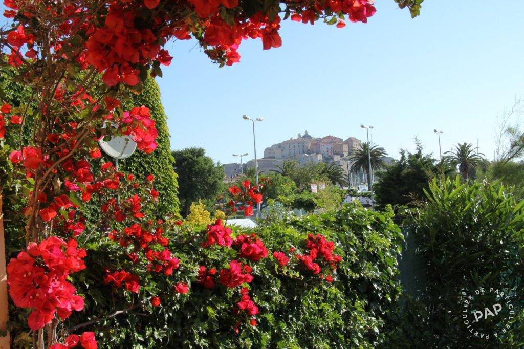 Calvi (20260)
