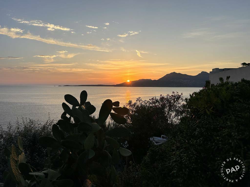 Calvi