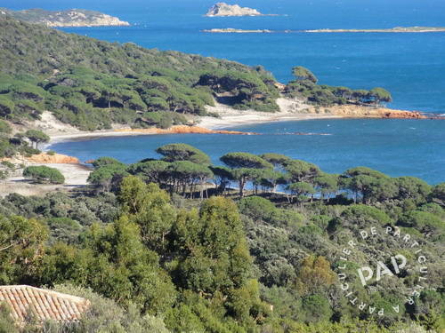 Palombaggia