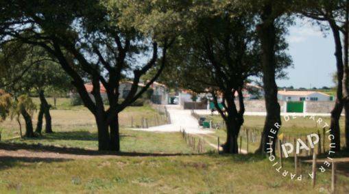 Rivedoux - Plage