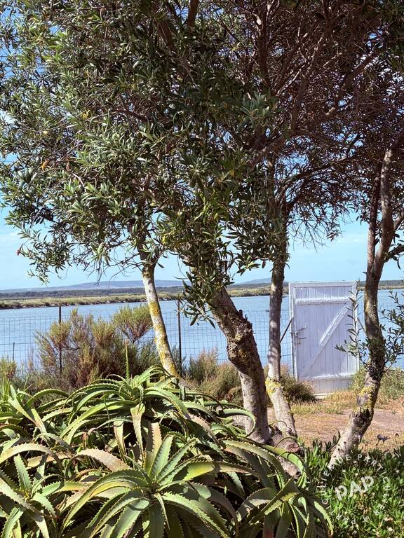 Frontignan Plage (34110)