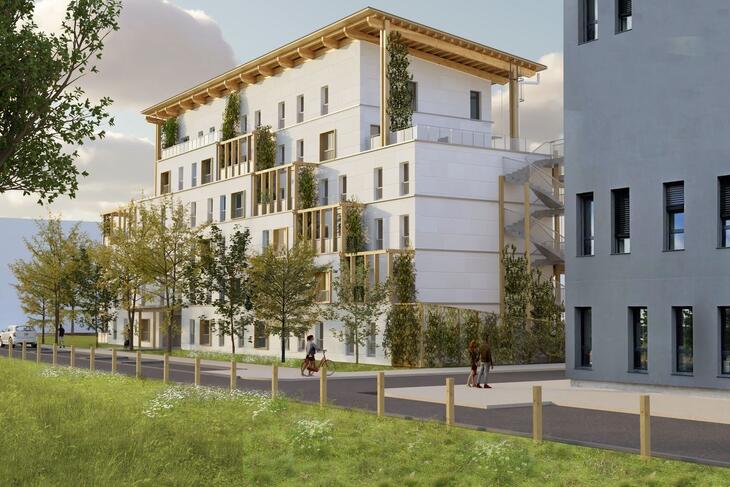 Appartement - Logement Social