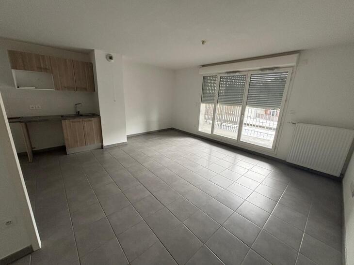 Appartement Toulouse (31)