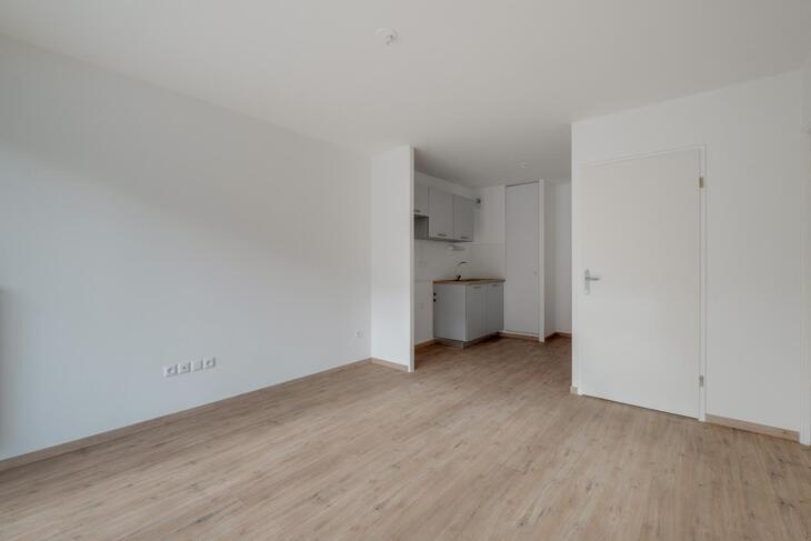 Appartement Halluin (59250)