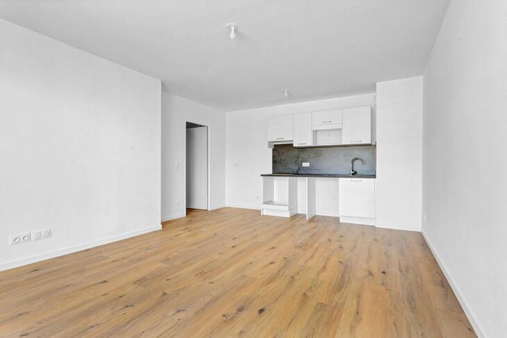 Appartement Viry-Châtillon (91170)