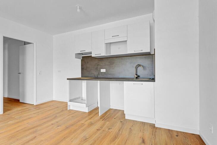 Appartement Viry-Châtillon (91170)