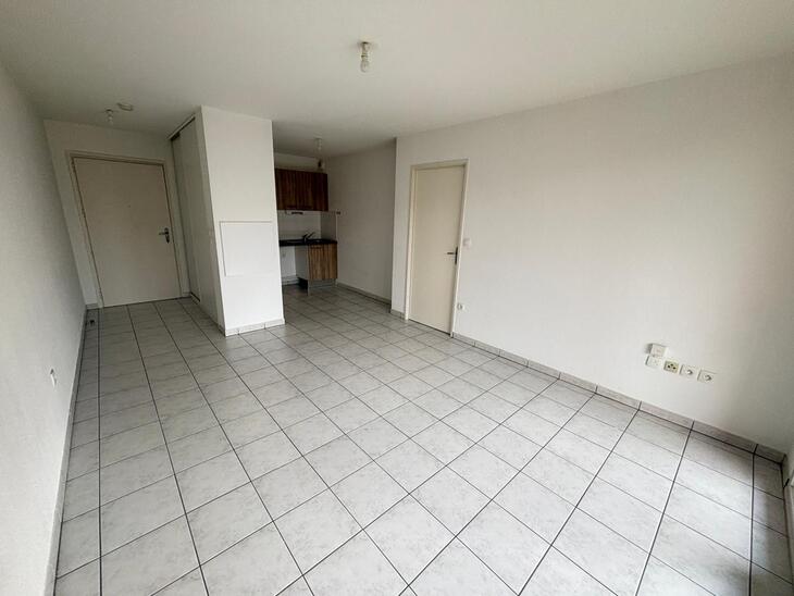 Appartement Toulouse (31)