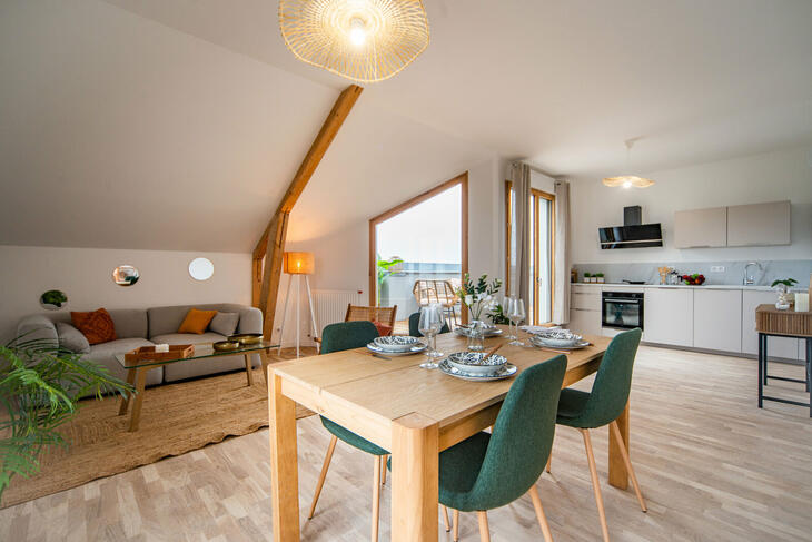 Appartement La Riche (37520)