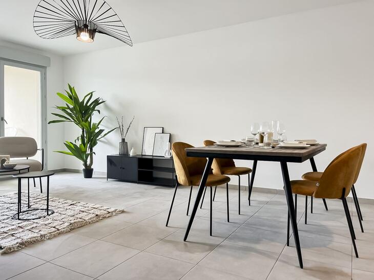 Immobilier neuf à Rillieux-la-Pape