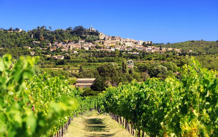 Immobilier neuf à Saint-Rémy-de-Provence
