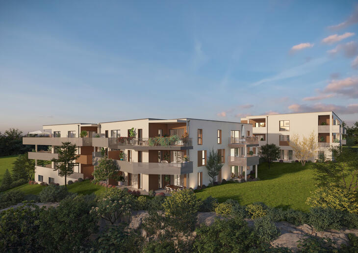 Immobilier neuf à Besançon