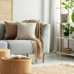 Immobilier neuf à Albi