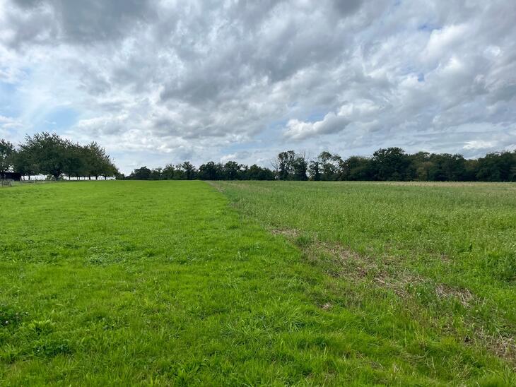 Immobilier neuf à Delle