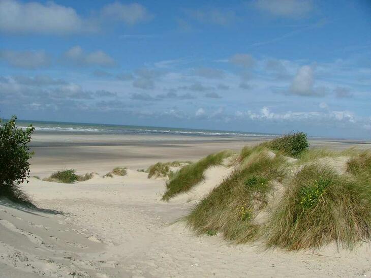 Programme Immobilier Les cottages Dunes & Mer à Bray-Dunes (59123) à ...