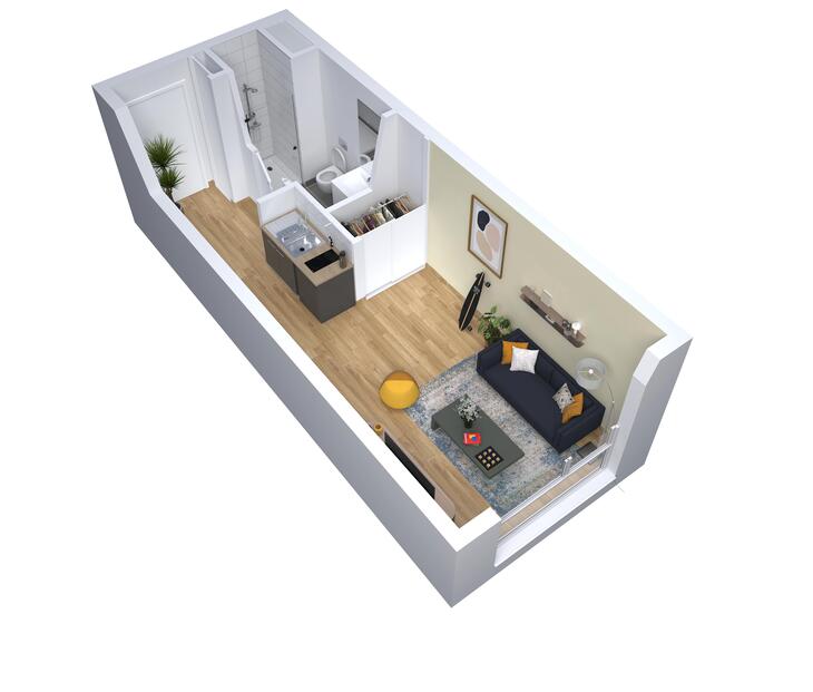 Immobilier neuf à Montpellier