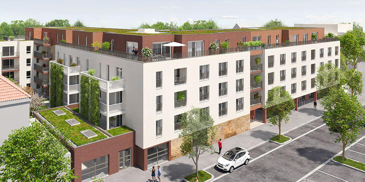 Programme neuf Rose Impériale