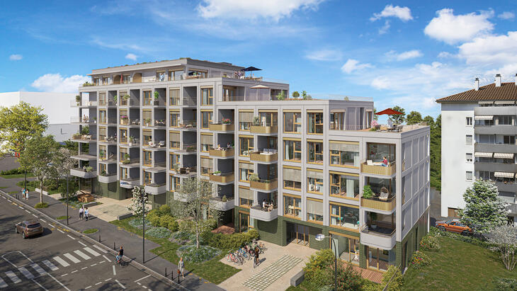 Immobilier neuf à Annecy