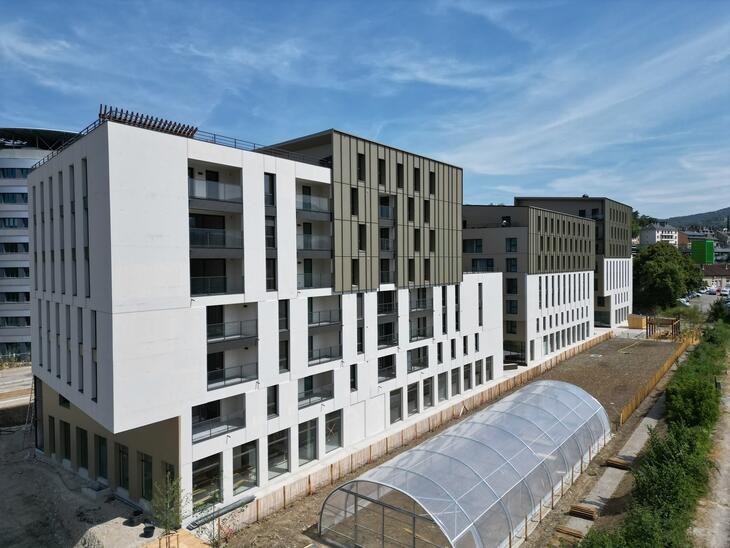 Programme neuf Ancora