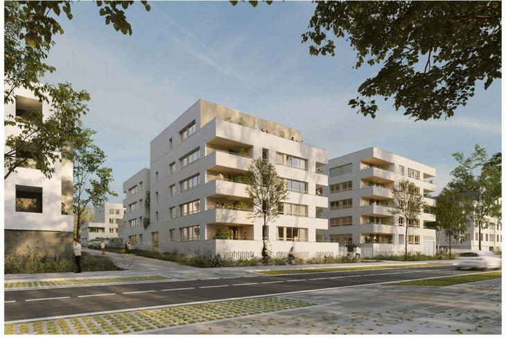 Millesime -