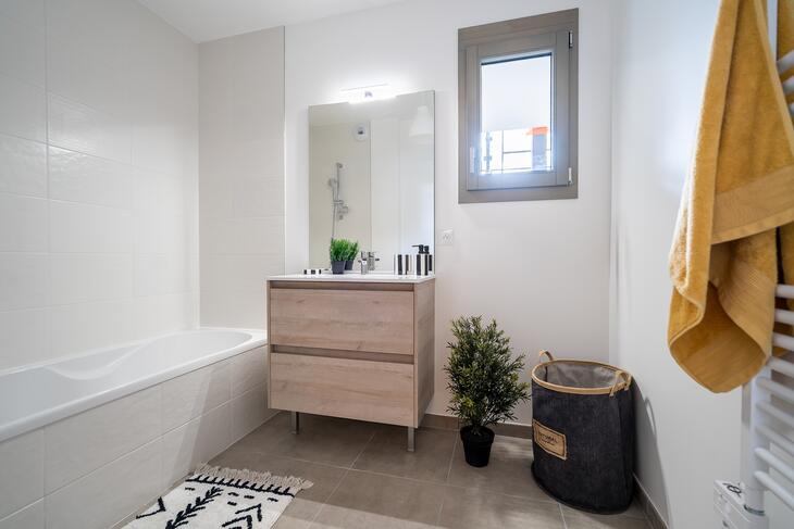 Programme immobilier PASSAGE DE FLORE / Annecy Annecy