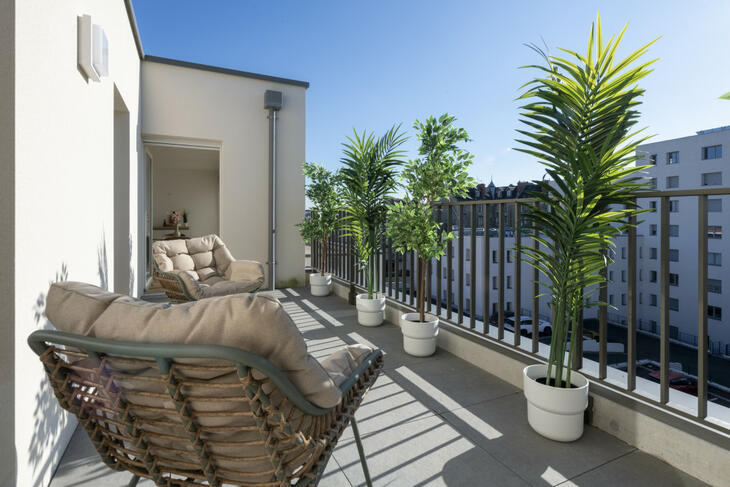 Logement neuf à vendre 430000