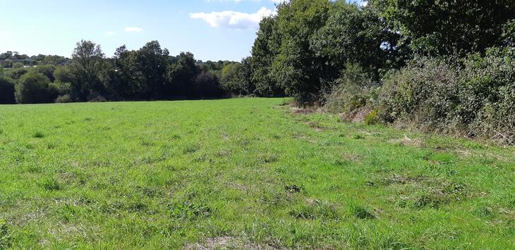 Programme immobilier Streat Zoun Coat-Méal