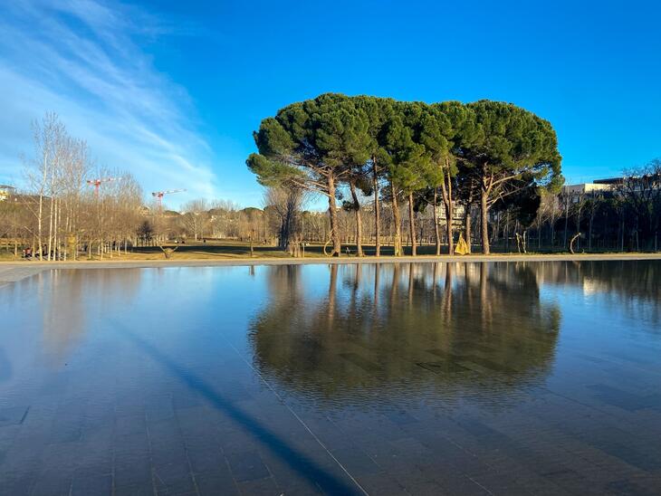 Immobilier neuf à Montpellier