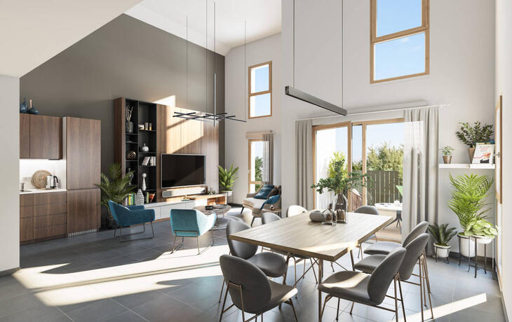 Immobilier neuf à Lyon 7e