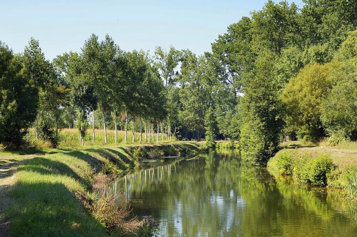 Logement neuf à vendre 319000