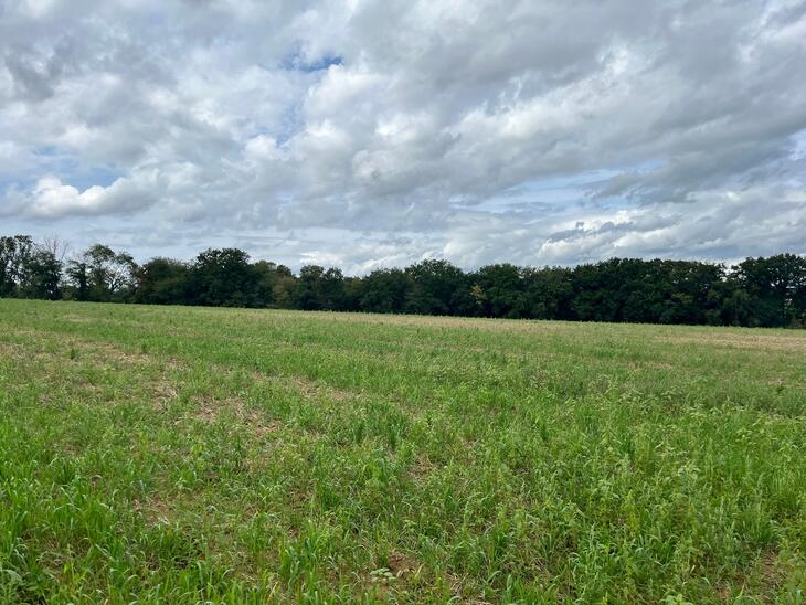 Programme immobilier Les Hauts de l'Allaine Delle