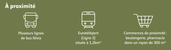 Immobilier neuf à Roubaix