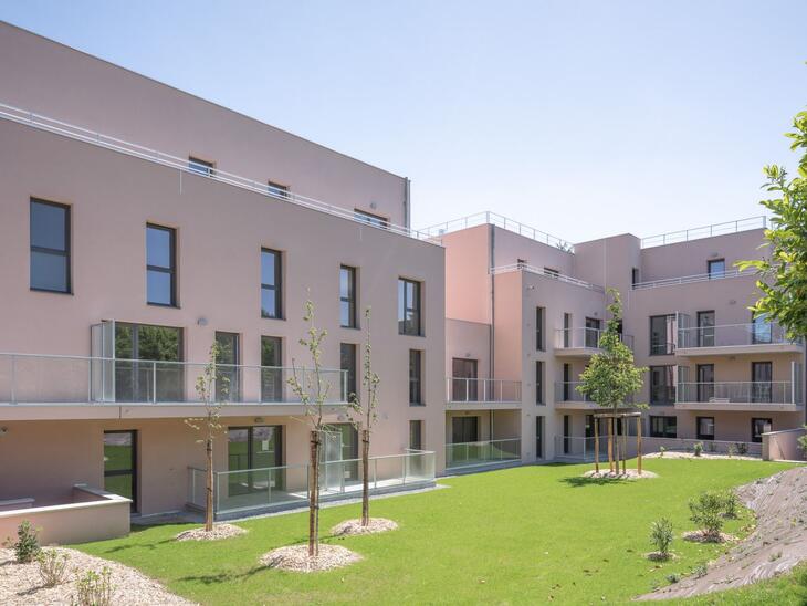 Immobilier neuf à Le Rheu