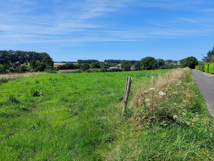 Immobilier neuf à Tourville-les-Ifs